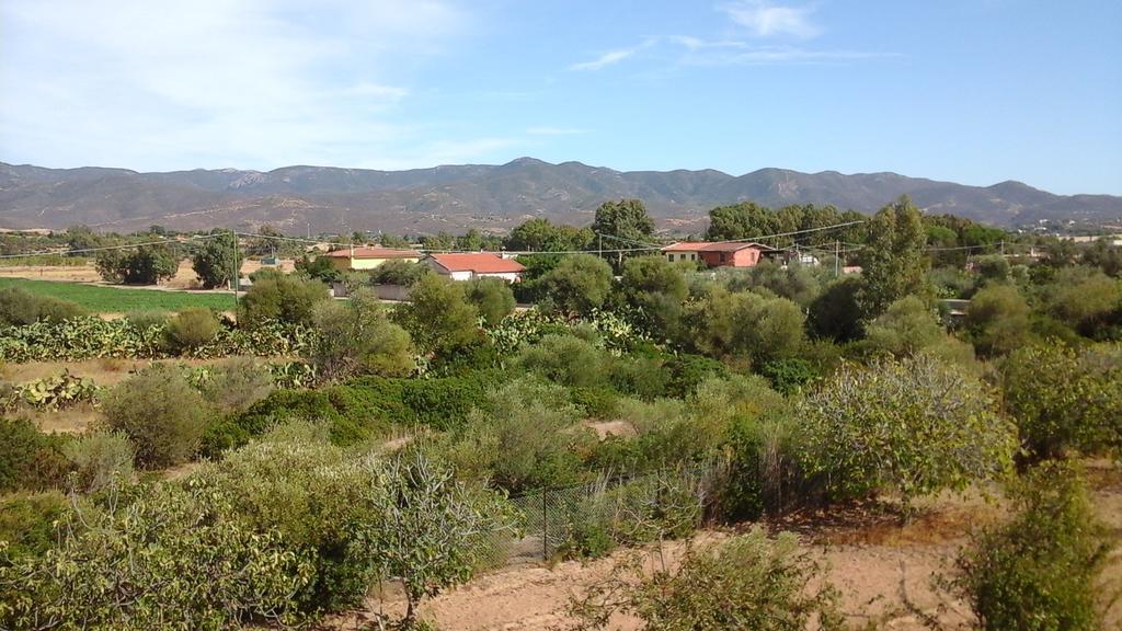 Villa Renzo e Lucia Sant Isidoro  Esterno foto